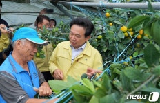 태풍 피해 농민에게 설명을 듣는 원희룡 지사