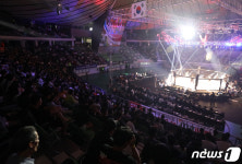 대구 달구는 로드FC 열기