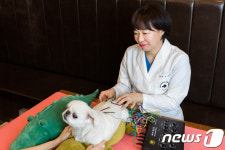 한방 침술 치료로 반려견 안압 낮출 수 있어…노령동물에 희망