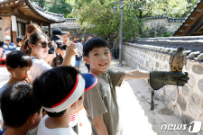 매사냥 체험 신기해요