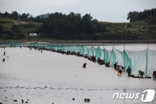 여자만 갯벌노을 체험 28~29일 여수 소라면 장척마을