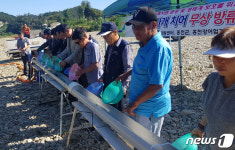 [홍천소식]내수면 생태계 보전 어린 동자개 5만마리 방류