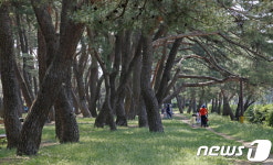 하동 송림에 하동 노래’ 울려 퍼진다