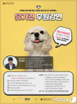 좋은 반려동물 보호자가 되려면…28일 안양공고 유기견 후원강연