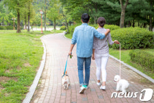 반려견과 외출하기 좋은 가을…산책시 이것 챙기세요
