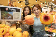 로컬 푸드가 왔다 산지뚝심 대향금 복숭아