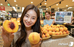 롯데마트 산지뚝심 충북 괴산 대향금 황도복숭아
