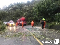 여수시, 태풍 타파 피해 174건…피해복구 총력