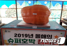 하동 호박축제서 177kg짜리 슈퍼호박 나왔다