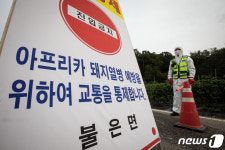 인천 강화군 또 뚫렸다…돼지열병 6번째 확진(속보)