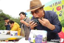 [화보]가을 힐링, 한약에 빠져보다…영천한의마을 한약축제