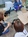 철거 앞둔 노량진 옛 수산시장에 "고양이 갇혀 있어요"
