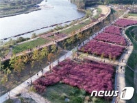 핑크뮬리 보고 농특산물도 사고…함안군 직거래 장터 운영