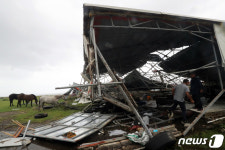 미탁 돌풍에 와르르 무너진 제주 마사