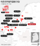 백령도서 아프리카 돼지열병 의심축…1차 부검 이상 없음(종합)