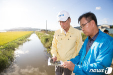 태풍 피해 현장 살피는 장세용 구미시장