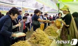 증평 인삼골축제, 올해도 성황…21만여명 방문
