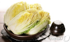 괴산군 시골절임배추 1상자 3만원…4년째 동결