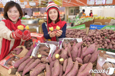 농협유통, 꿀맛 고구마 할인 판매