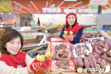 농협유통, 양재점에서 꿀맛 고구마 할인 판매