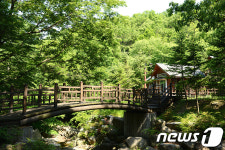 충주 자연휴양림, 숲나들e 통해 예약 가능해진다
