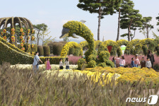 가을 품은 함평엑스포공원