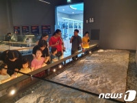 진주익룡발자국전시관 임시개관 기간 4200명 방문