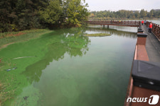 해마다 고통받는 풍암저수지