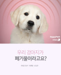 [펫카드] 눈에 넣어도 안 아픈 우리 강아지, 죽으면 폐기물?