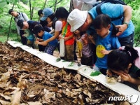 내일 서울시내 51개 유아숲체험원서 가족축제