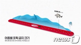 국민과 함께 어린 물고기 보호…해수부, 22일부터 치어럽 캠페인 진행