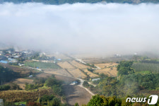 운해가 연출하는 멋진 풍경