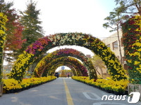 국화향 그윽한 부안…25일부터 부안 가을愛 국화 축제