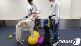 위드란랜드 | "반려동물과 함께 즐겨요"…복합공간 '위드랜드 청담' 그랜드오픈