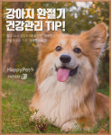 [펫카드]강아지도 환절기 건강관리 필수…겨울맞이 꿀팁