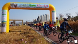 영산강변 억새 따라 그린자전거 축제…내달 3일, 500명 선착순