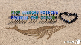 그린피스 예비 불법 어업국 대한민국 바다를 보호해주세요