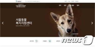 유기견 입양 서울동물복지지원센터 홈페이지 신설