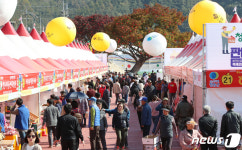 청송으로 오세요 제15회 청송사과축제 개막