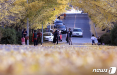 단풍 든 은행나무길에서 보내는 오후