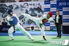 태권도원 경연대회 마스터즈·시범 결선, 9~10일 T1경기장