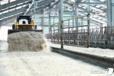 한우의 겨울나기를 위해 톱밥 깔아요
