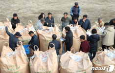 공공비축미 매입 실시