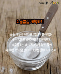 [카드뉴스] 귤에 핀 곰팡이 떼어내고 먹으면 된다고요?