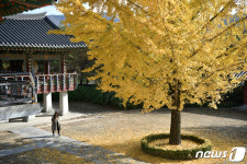 가을을 보내고 있는 죽림정사