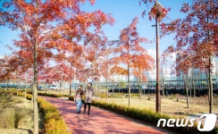 증평 안자산 공원으로 아이들과 단풍구경 오세요