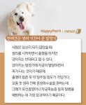 [펫카드]강아지 생리, 얼마나 알고 있니?