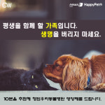 생명을 버리지 마세요…해피펫-청담우리동물병원, 공동 캠페인
