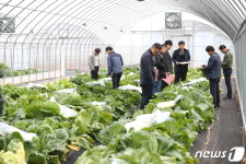 배추 평가회 꼼꼼하게