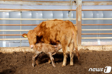 아가야 춥지 이리와